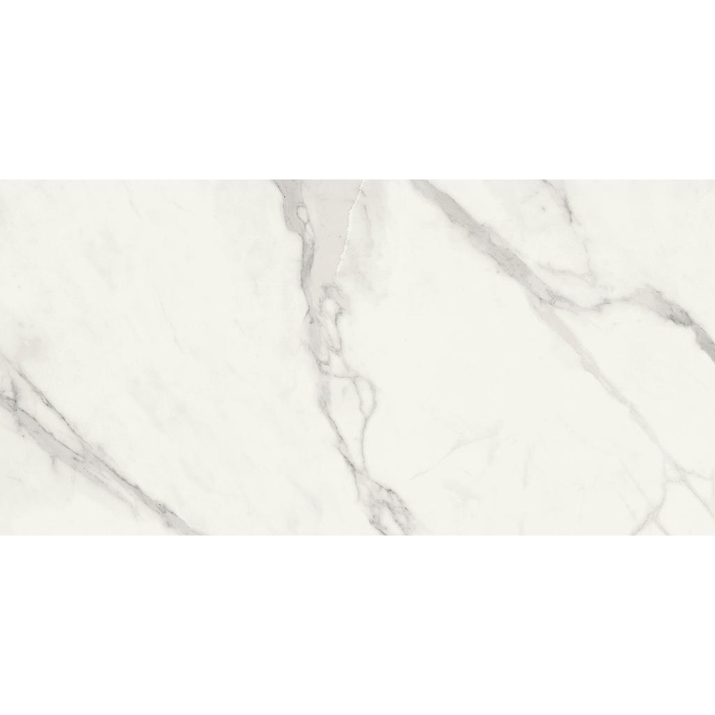 Gres Tile Pietrasanta POL 119,8x59,8x10mm(2'x4')