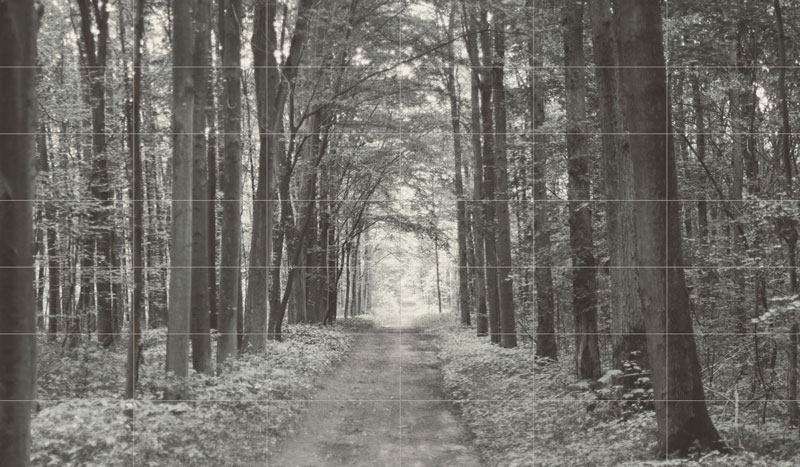 Picture Wall 42-elements All in white 1 359,8x209,8 Gat.1