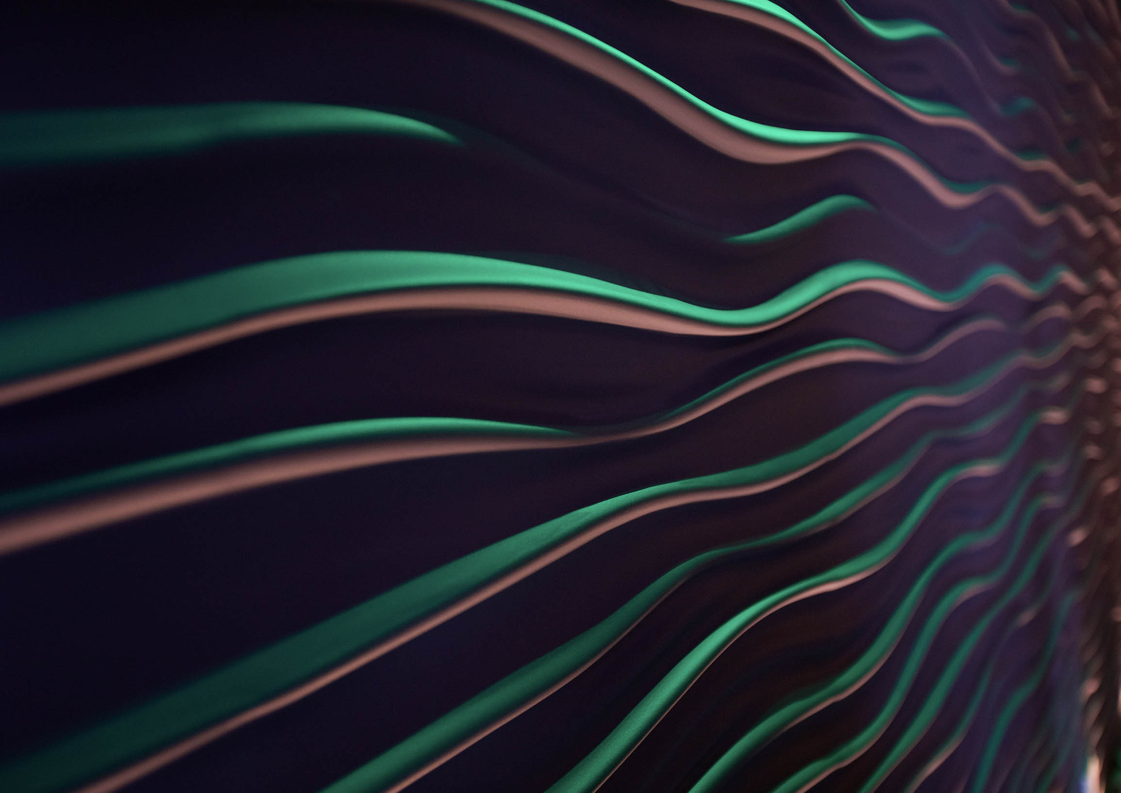 ENCORE_GALLERY_SAMOA2